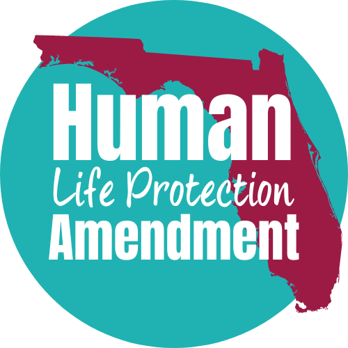 Heart Beat Hero/Human Life Protection Amendment